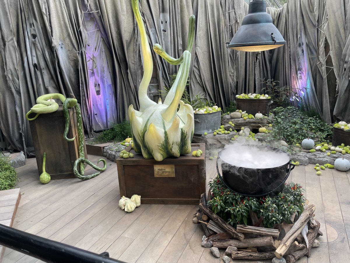 Eve_Christian's tweet photo. #Kalbacius, l'ensorceleur est coincé dans la grande serre du Jardin botanique et a besoin des enfants pour retourner dans son monde avant le 31 octobre! Potions, quête, baguette magique, #potirons...
Détails: https://t.co/wiAlikUtkX
@le1518 #Halloween2022 
@EspacePourLaVie https://t.co/Gzxk4LOSVQ