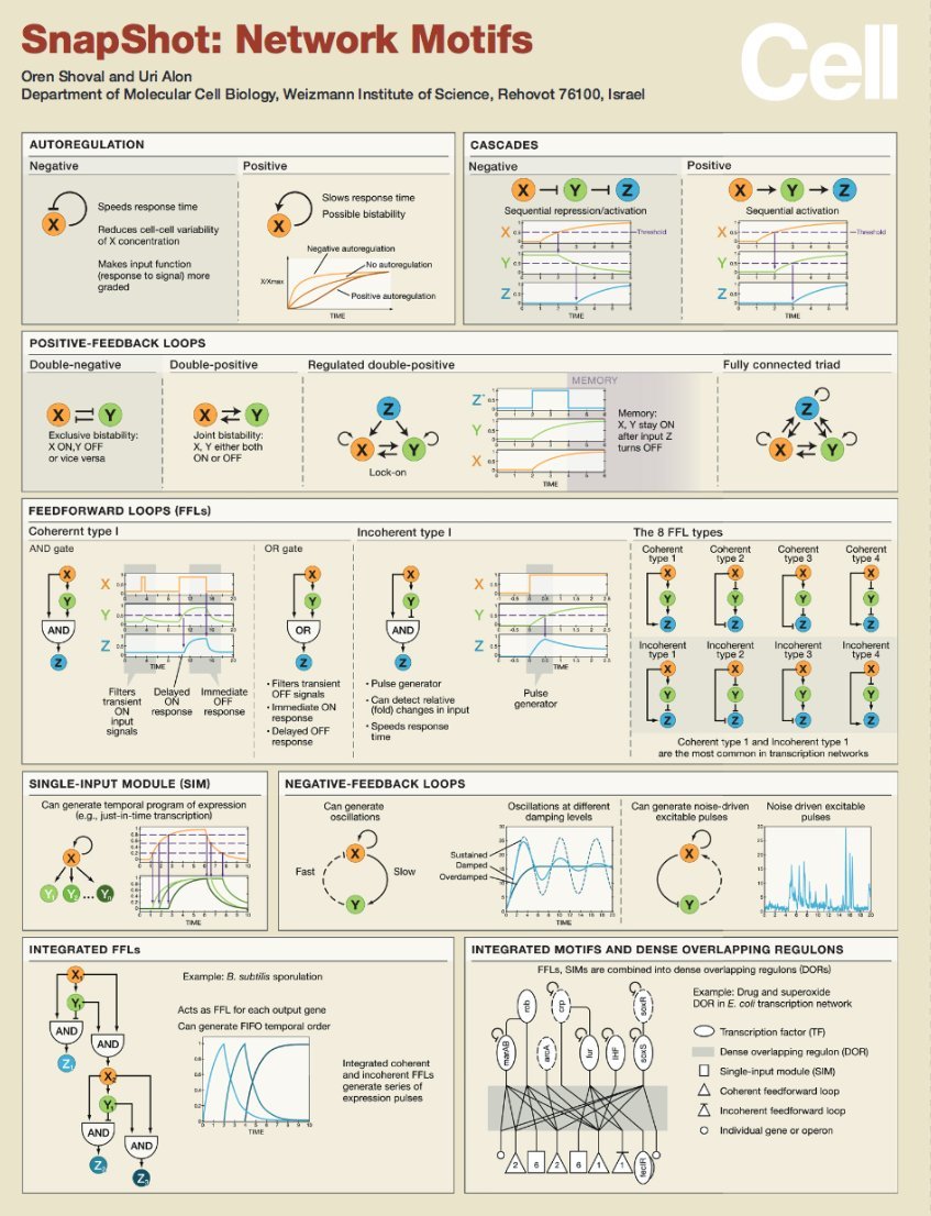 gaby_wald's tweet photo. #Networks #NeuralNetWorks #BioChemicalNetWorks #Patterns #RegExp #RegularExpression #CheatSheets ... https://t.co/kFFWxuSsv9