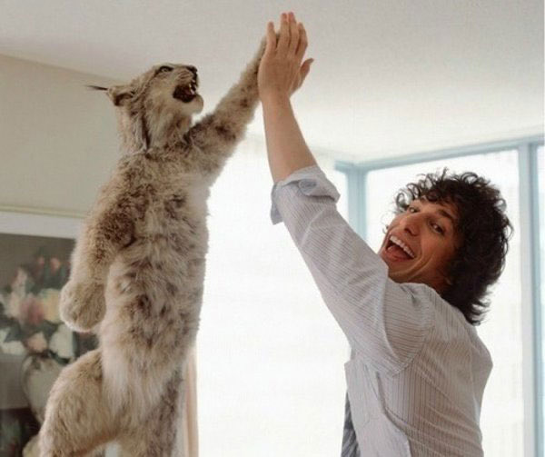 jimbosmooth's tweet photo. Her: you gotta be a curly haired dude in his living room high-fiving a Canadian Lynx if you think I’m giving you head in this public park rn

Me: https://t.co/eqYCTlfl8R