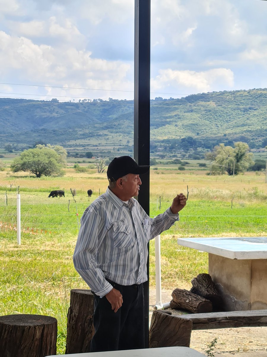 Rpuebloviejomx's tweet photo. Visita de campo con presidentes de Asociaciones Ganaderas de Altos Norte, coordinados por la Junta Intermunicipal Altos Norte (JIAN) para ver el modelo de producción de Rancho Pueblo Viejo.
@uganaderajal
#ganaderiaregenerativa #ranchoagroecológico #itsnotthecowitsthehow https://t.co/rvA6VRhRPv