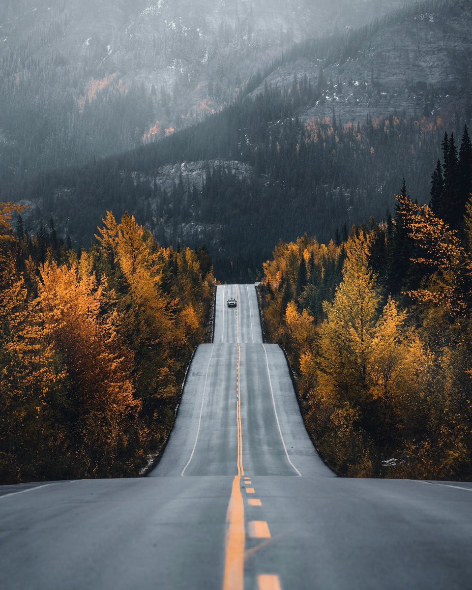 MaryleeBurman's tweet photo. Along a long road https://t.co/9BpJhjlLY3