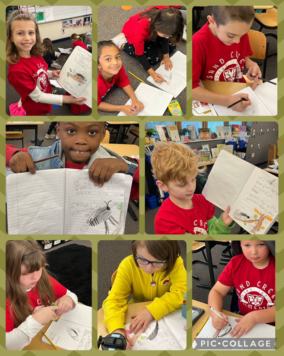 MrsNolanSCE's tweet photo. We are so excited for our field trip to Fishers Agripark on Monday! We got ready by practicing our science journaling with @Daniel1Teach 🔍📓 @FishersParks #FishersAgriPark @SCECougars https://t.co/2lLtkYqEJu