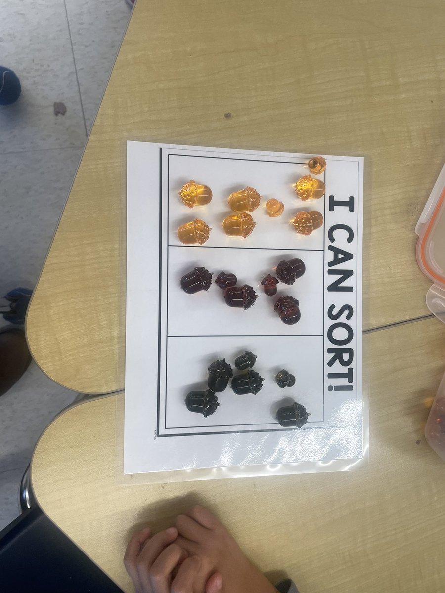 Lots of ways to sort our toys, some friends benefit from more clear sorting mats- with pictures showing ways to sort and some friends are wanting to see objects and make their own sorting rule!