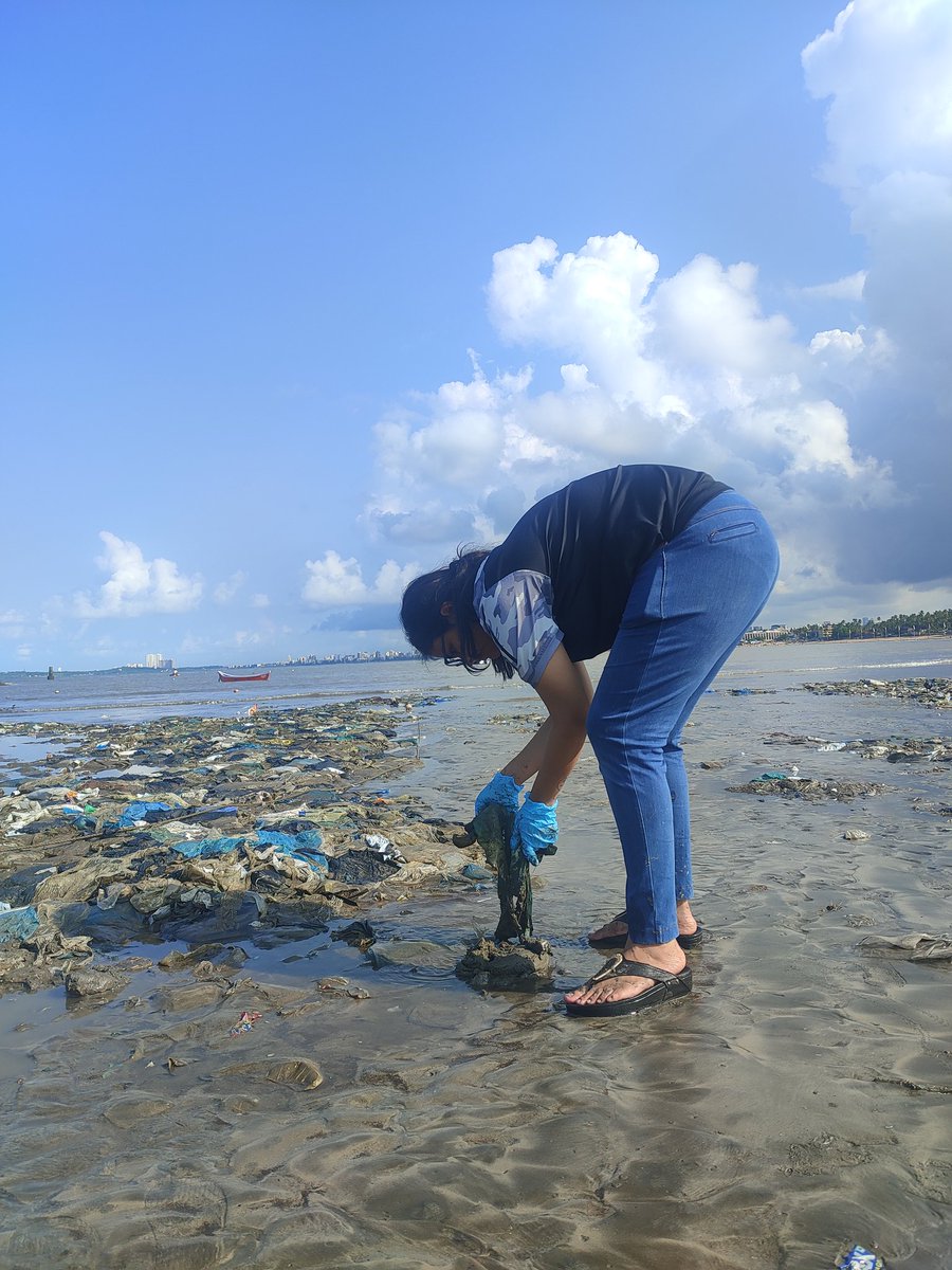gullyclasses's tweet image. Last Sunday, we did Juhu Cleanup Drive. More than 50 Volunteers were present.

@poojadesaid @DEFindia
@OsamaManzar @TOIMumbai @IAS_Rubal @faiz_IAS @Jitin_IAS @Somesh_IAS @quaiser_khalid @4ocean @Jksoniias #JuhuCleanup #CleanMumbai #Gcf4Environment #GullyClassesFoundation #India