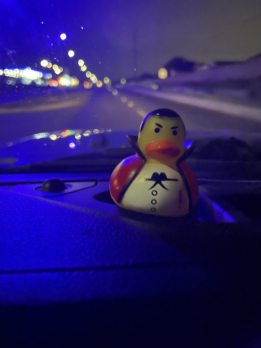 ClarissaVee's tweet photo. Got ducked 🤪 https://t.co/VfFgspmY3b