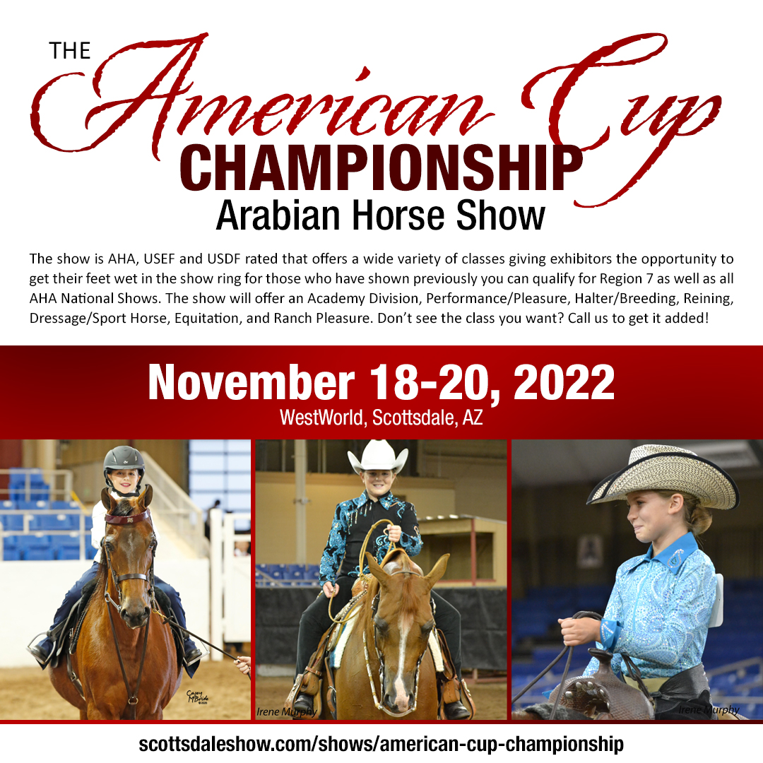 American Cup Championship Arabian Horse Show
November 18-20, 2022
WestWorld, Scottsdale, AZ
Entries due November 11, 2022

scottsdaleshow.com/shows/american…