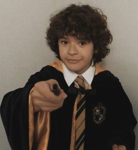 strangerthinker's tweet photo. dustin henderson our favourite Hufflepuff https://t.co/zYDP92Lpii