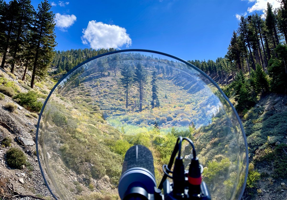 Back on my bird sh*t.