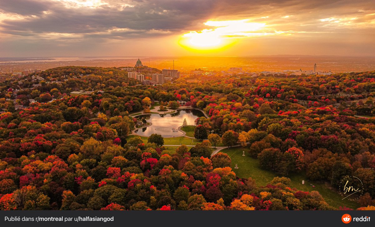 Olivier Niquet tweet media