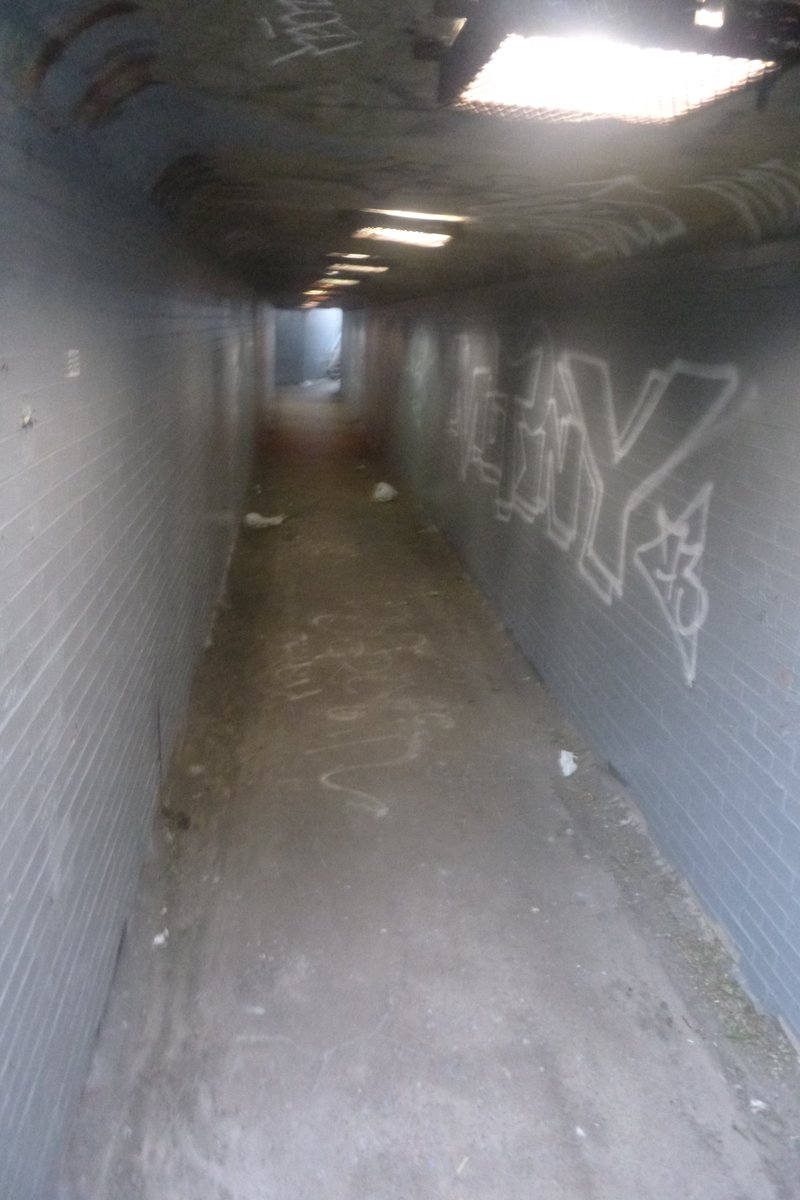 PittsburghTrail's tweet photo. Bigelow is in the news
Here are images of a pedestrian tunnel under Bigelow https://t.co/POPAv2LfL2