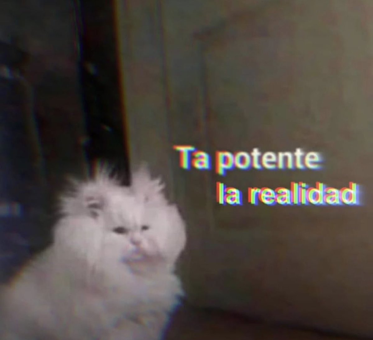 Cristian Rey tweet media