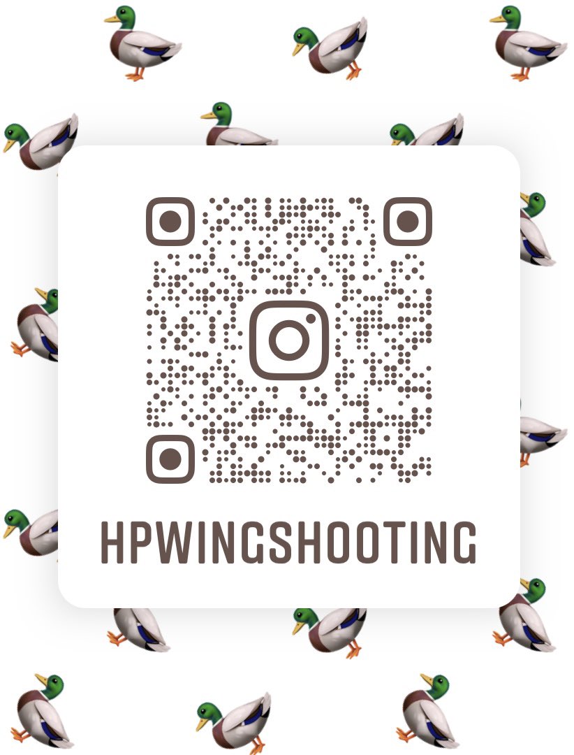 HPWingshooting's tweet photo. Follow us on Instagram!!!

https://t.co/VBdZVbS02h https://t.co/gPAqVTquP5