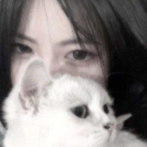 ᯅ𓂅⋆⋈๑ꮺଘꗃ ᯅ⋆ 𓂅﹆ꕤ tweet media