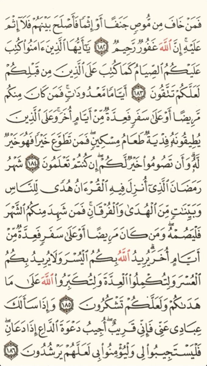 محمد 🥈 tweet media