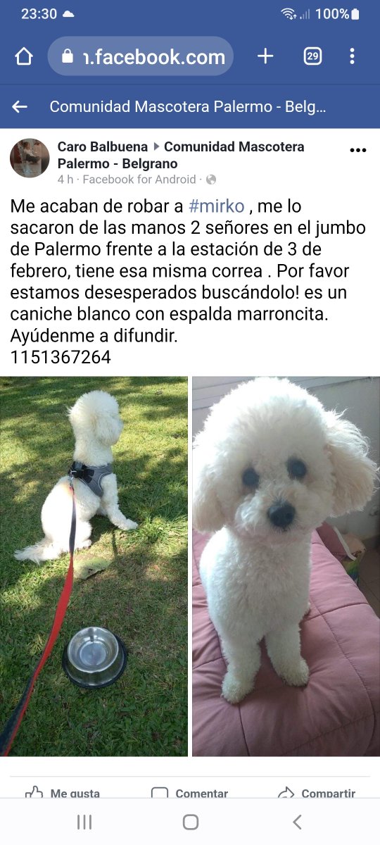 Acaban se robar a mirco 1151367264 #urgente