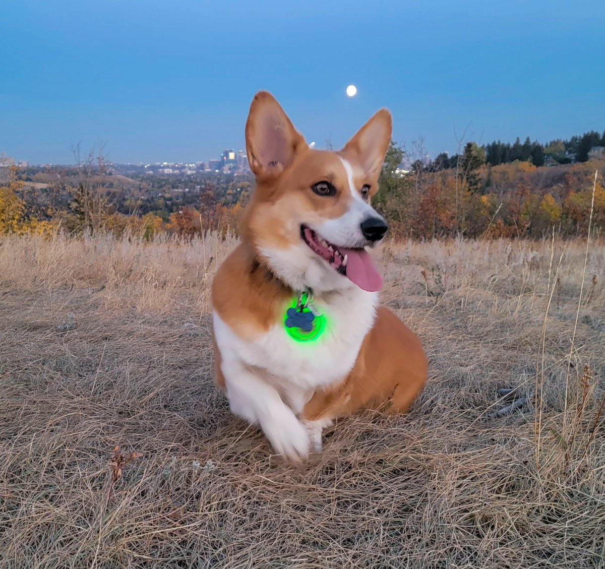 Rockyscrazylife's tweet photo. Almost full moon illuminating our party, let's go exploring!!! https://t.co/OwzXZEODHj