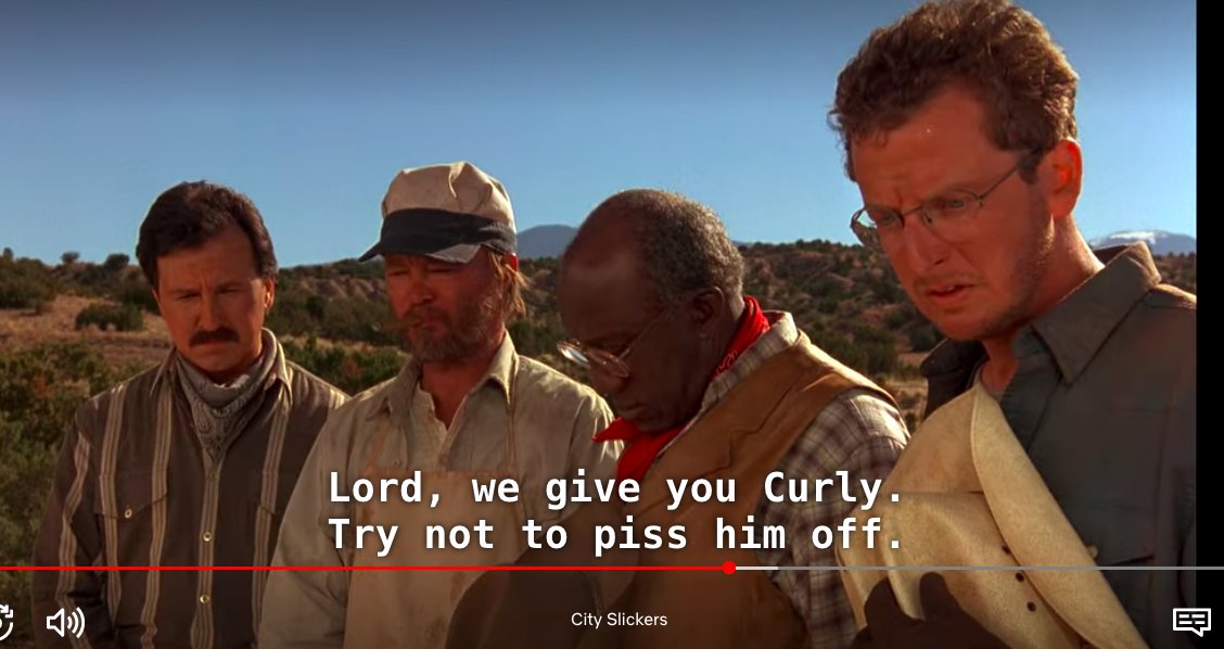 City Slickers is on Netflix.