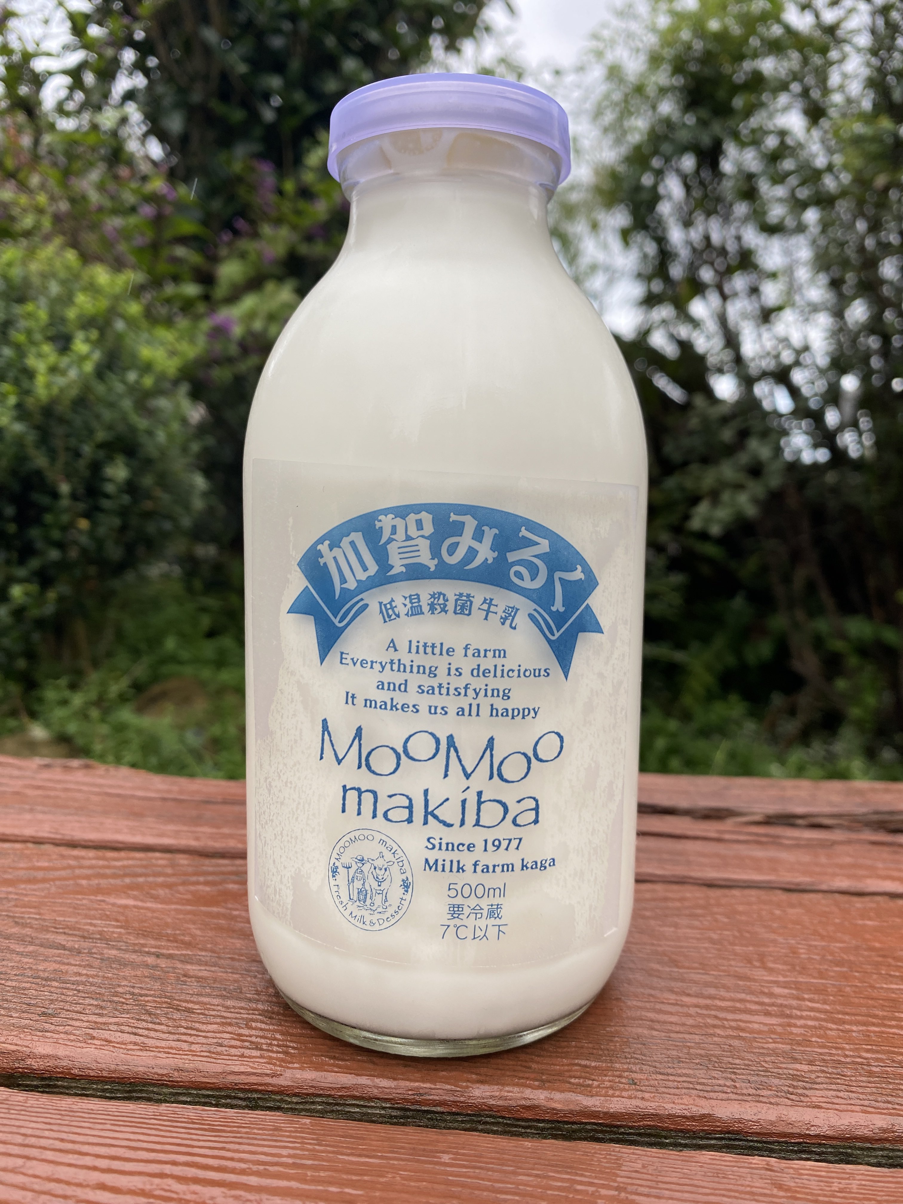 未使用 牛乳キャップ 愛生舎牛乳 全曜日 7枚 新潟県長岡市