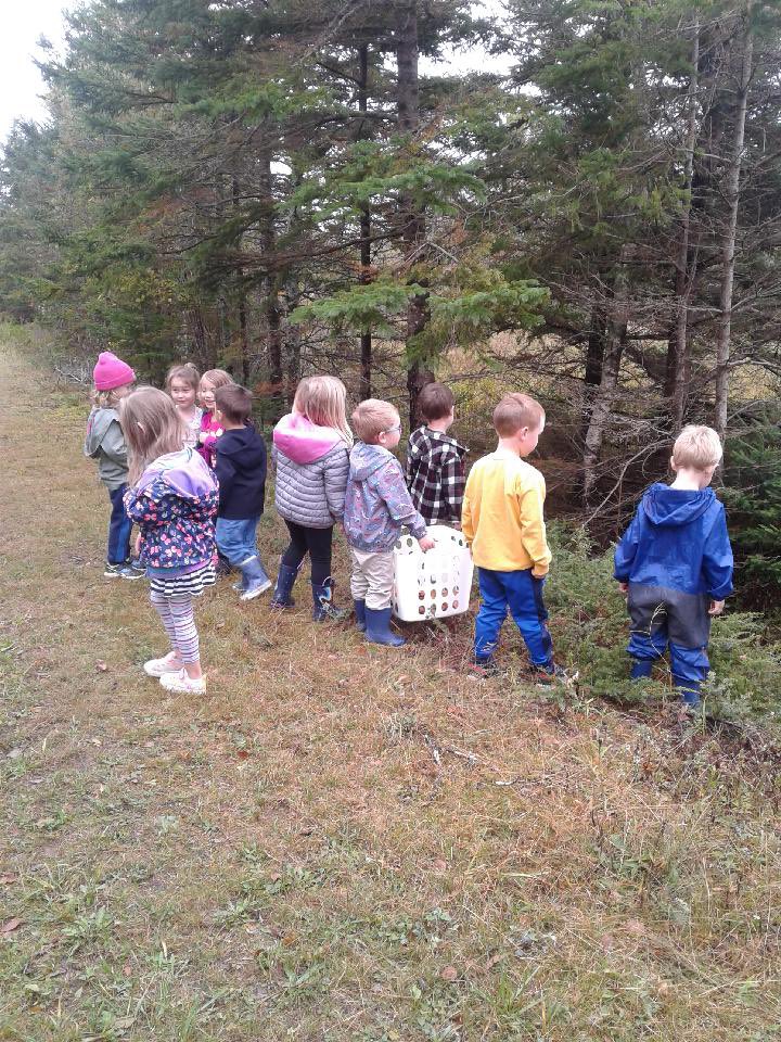 MvecP's tweet photo. MVEC Pre Primary out leaf hunting and downed tree spotting. Lots of conversations here. One being aliens lived in the stream. Who knows? @HRCE_NS @nseducation https://t.co/sZItn6UEdC