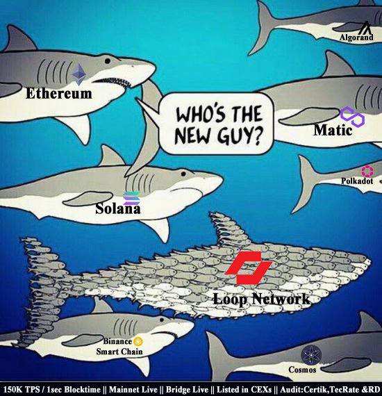 puranti_r's tweet image. @LoopNetwork3 and @LabSphinx NFTs are the best NFTs! #LoopNetwork #sphinxlab #btc #BNB #binance #Solana #Cardano #Polygon #ETH