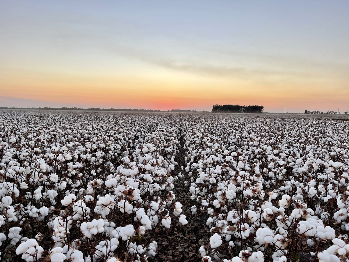 Drew Smith tweet media