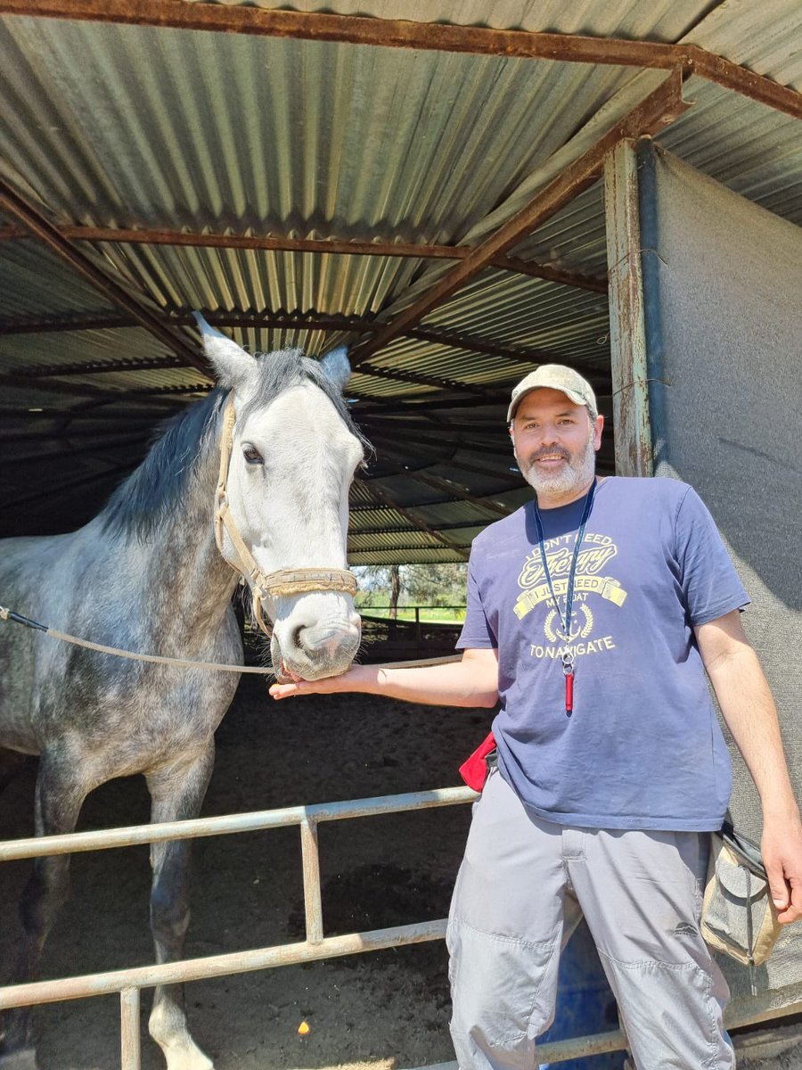 rorodonoso's tweet photo. Julián 🐴❤️#AnimalTrainer @BConfiar https://t.co/pCkb8fzk8g