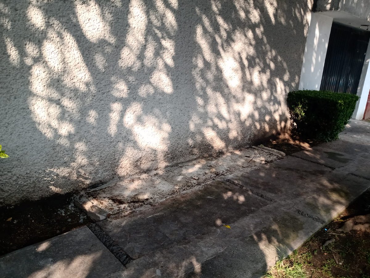 Gobierno y Asuntos Jurídicos MH 2024-2027 tweet media