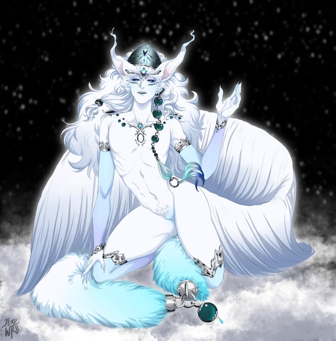 The snow fields  