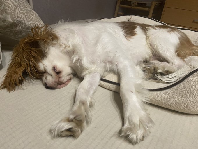 Good night ❤️ https://t.co/dV5QWaknd0<a href="/tag/melowmagic"class="tags"><span>#melowmagic</span></a>