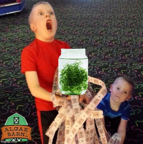 AlgaeBarn's tweet photo. When the Chaeto update feels like winning the JACKPOT!
https://t.co/ga7UUiGKSD
________
#macroalgae #refugium
#aquarium #reeftank #algae
#chaeto #chaetomorpha https://t.co/cbAmbTC7FM