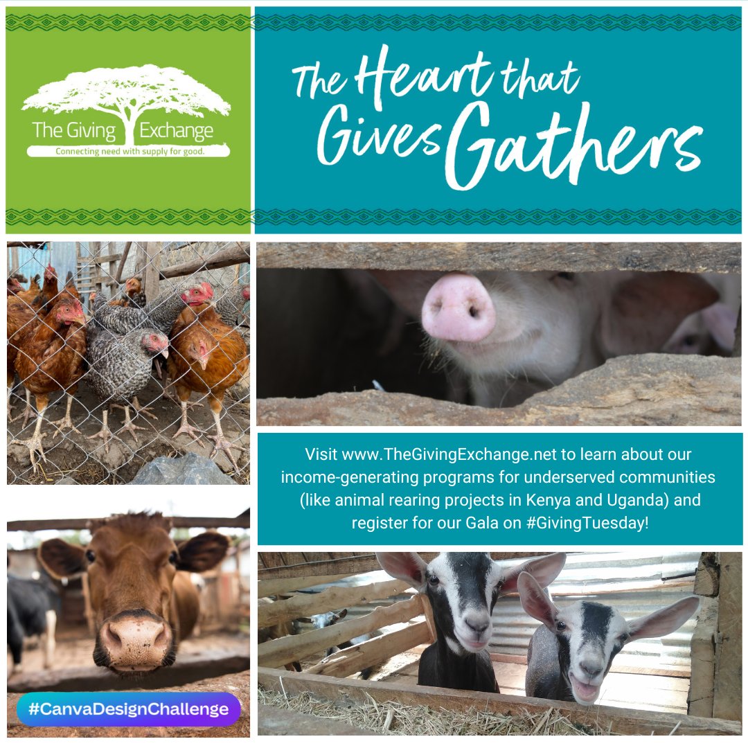 Save the Date! It's that time of year... the Giving Exchange Gala is coming up, and this year, we're going HYBRID! To learn more and register visit paybee.io/hybrid-event/t… - #CanvaDesignChallenge Thanks <a href="/canva/">Canva</a> for this excuse to highlight our farm animal projects!