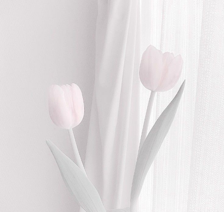 ᯅ𓂅⋆⋈๑ꮺଘꗃ ᯅ⋆ 𓂅﹆ꕤ tweet media