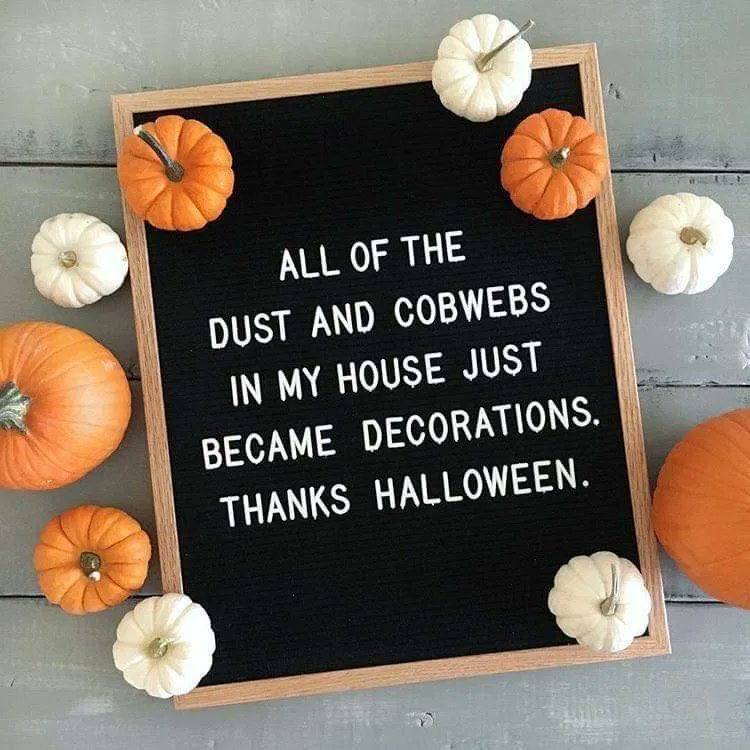 teachergoals's tweet photo. Too funny! 🎃
�� Unknown https://t.co/EjIq7mW9Ux