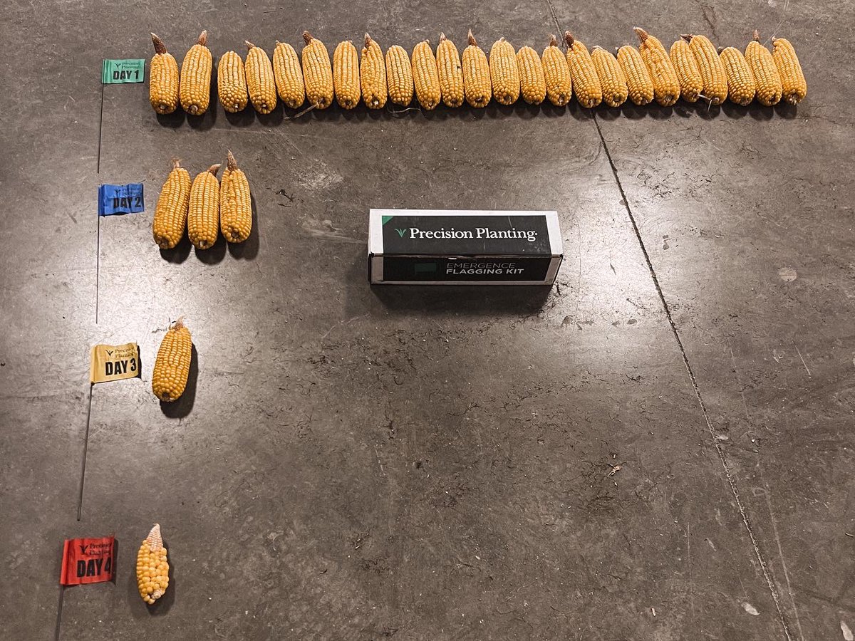 emergence matters.

that’s it. that’s the tweet.

#precisionplantingpartner