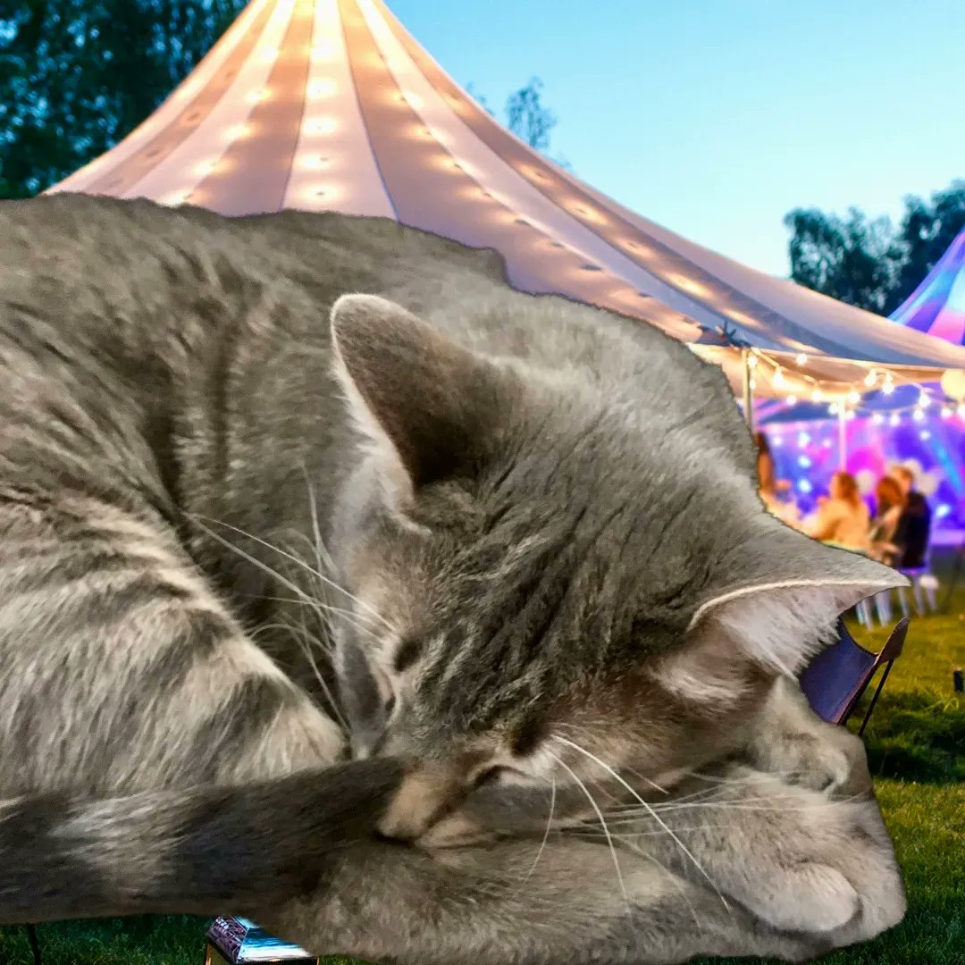 WayofCats's tweet photo. Then Bud arranged himself precisely.
He dreamed of a party, but for cats.
It was very quiet.
#CatsofTwitter #CatsofImagination #BudBudtheSpud #SuperSenses https://t.co/63iltmpdYw