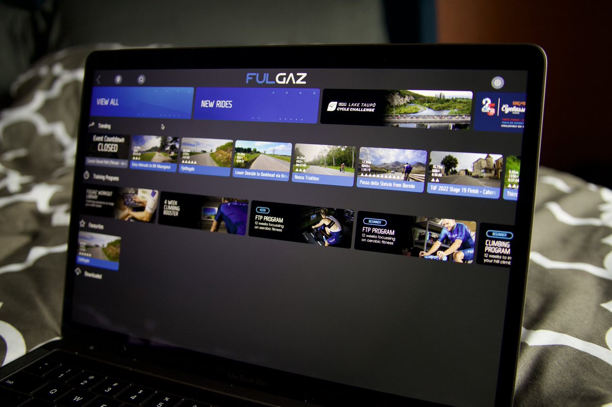 Eamon Lucas tweet media