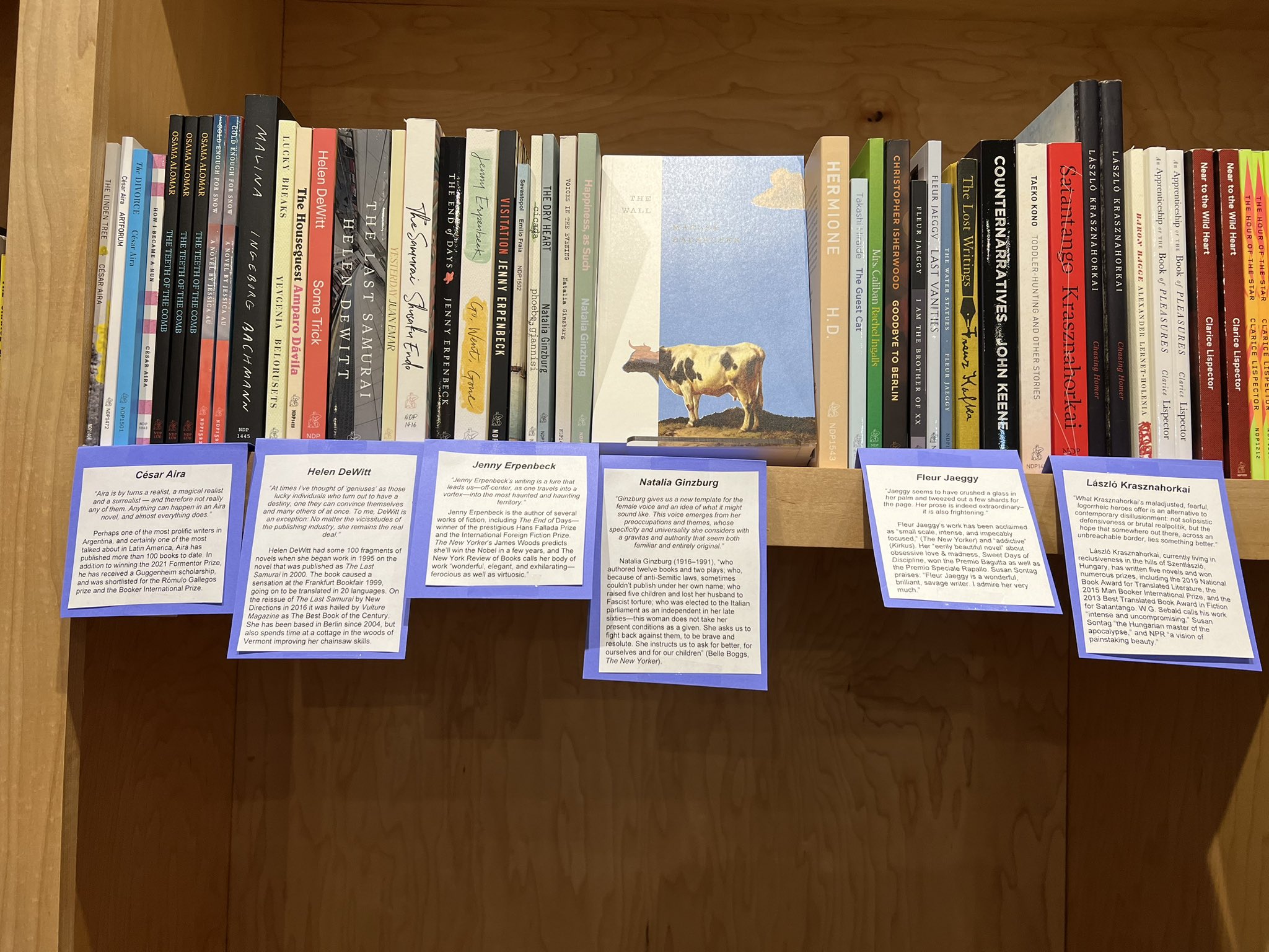 New Directions (NewDirections) / Twitter