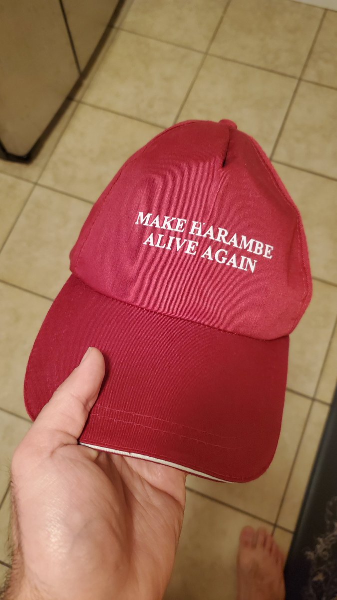 I was going through a bunch of old junk and I found this fossil.