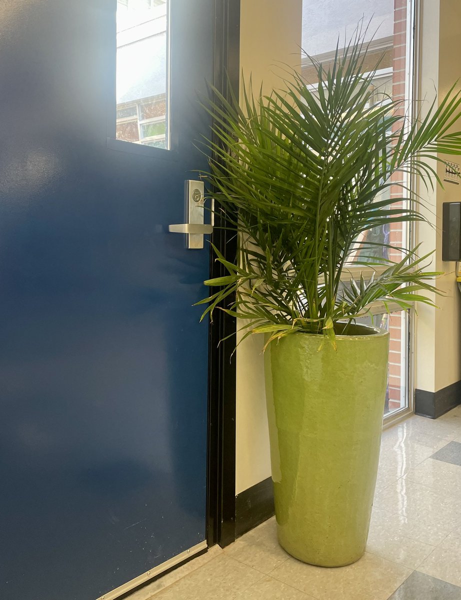 Jennie Elliott School - CBE tweet media