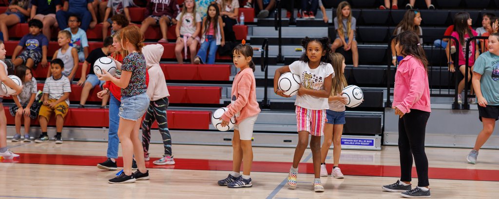 Standard Elementary tweet media