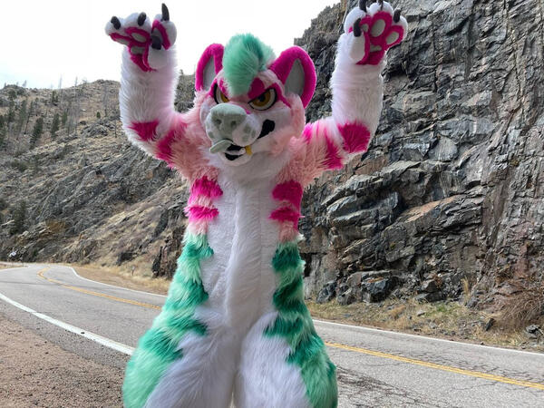 furryfandompos's tweet photo. This week's Fursuit Friday Feature is @cedar_yote ! A young fursuit maker with a lovely style, who has been doing this for a long time. He currently has a raffle going on so if you wanna join in and stay to support, you can!

#FursuitFriday #FursuitFridayFeature https://t.co/RJNOaQDk8Z