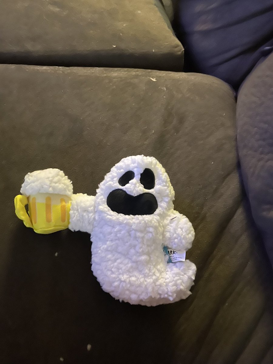 nothingiznormal's tweet image. This months @barkbox  😂🤣😂🤣🐕🦴🦮🐕