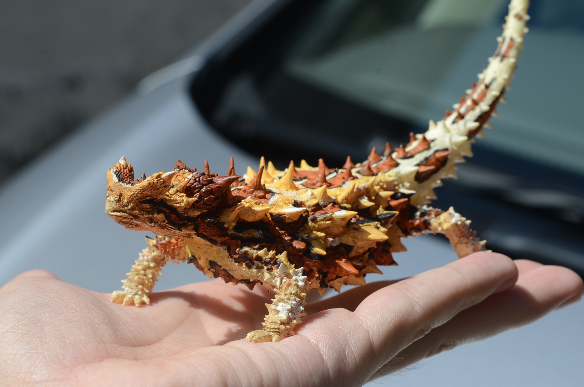 Artifact ぶりくら出店 Artifact Ug Twitter