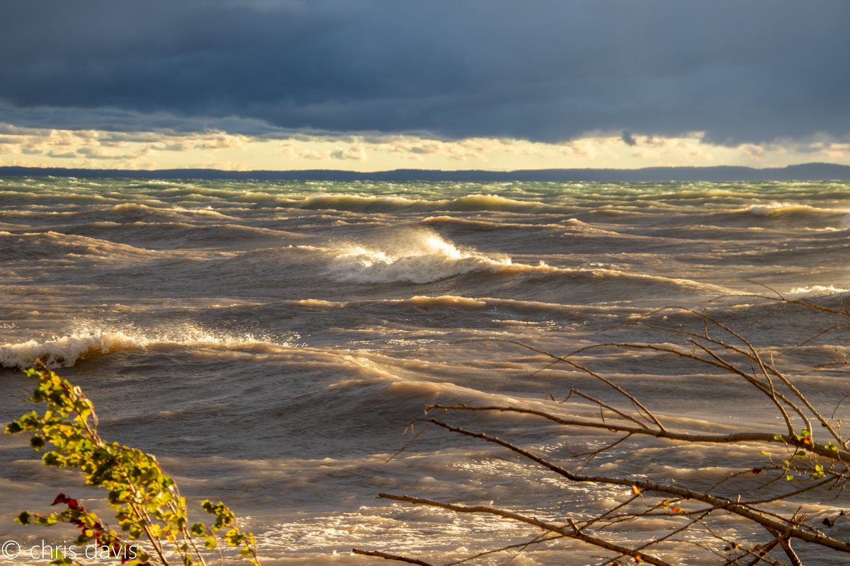 cdavis_xphi_six's tweet photo. @Yaacov97531 Windy evening at the Antrim Creek Natural Area, August 2020 #GrandTraverseBay #WaveAction #PureMichigan https://t.co/s2HYEZ6oMa
