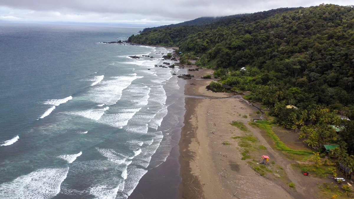 CulturaChoco's tweet photo. ¡¡Gracias a todos los cultores que participaron del encuentro presencial de la subregión de la costa pacífica chocoana!!
¡Tú también puedes dejar tu aporte en el primer plan de cultura del departamento del Chocó! 
https://t.co/SowyoQSojN
Fotos de @madein_choco https://t.co/DJfZH647Wm