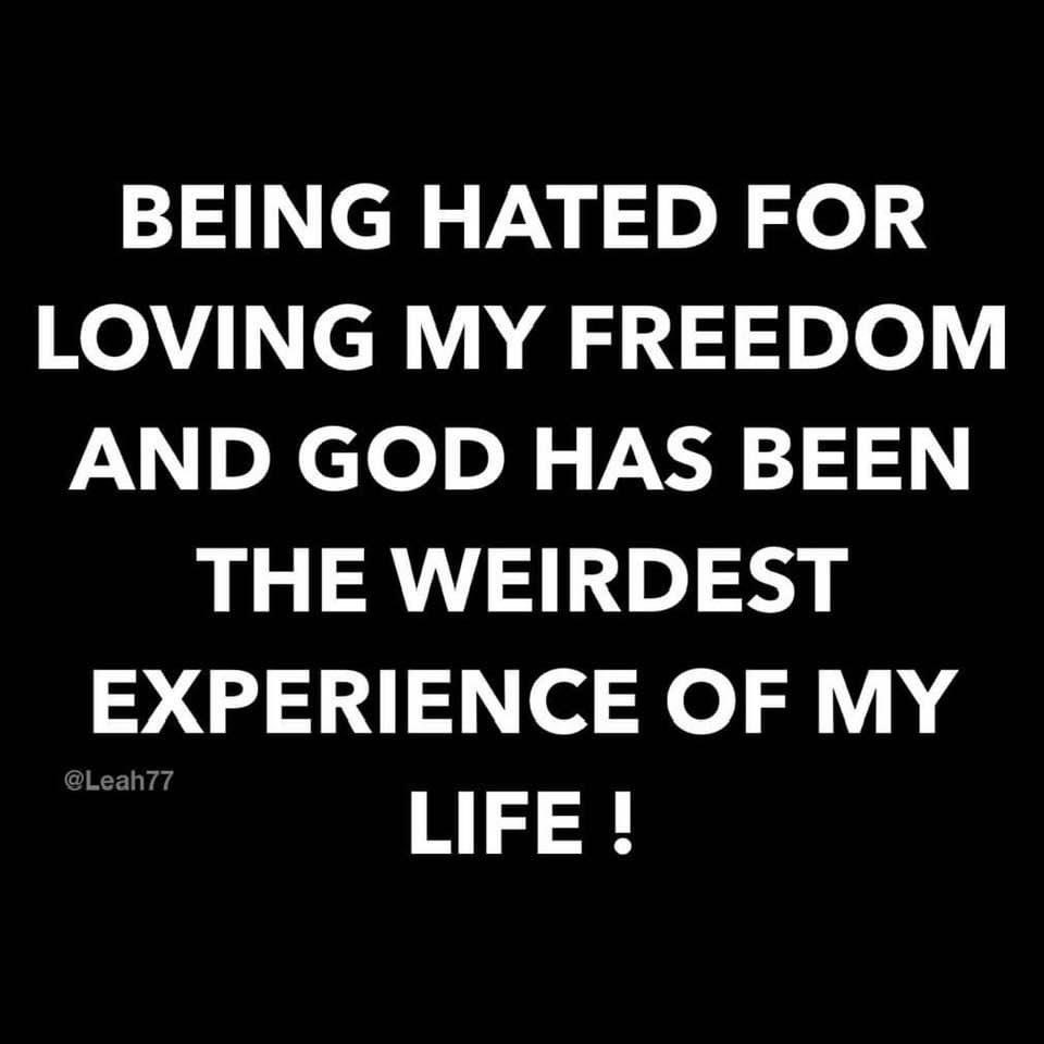 Michelle (@michell66803285) on Twitter photo 