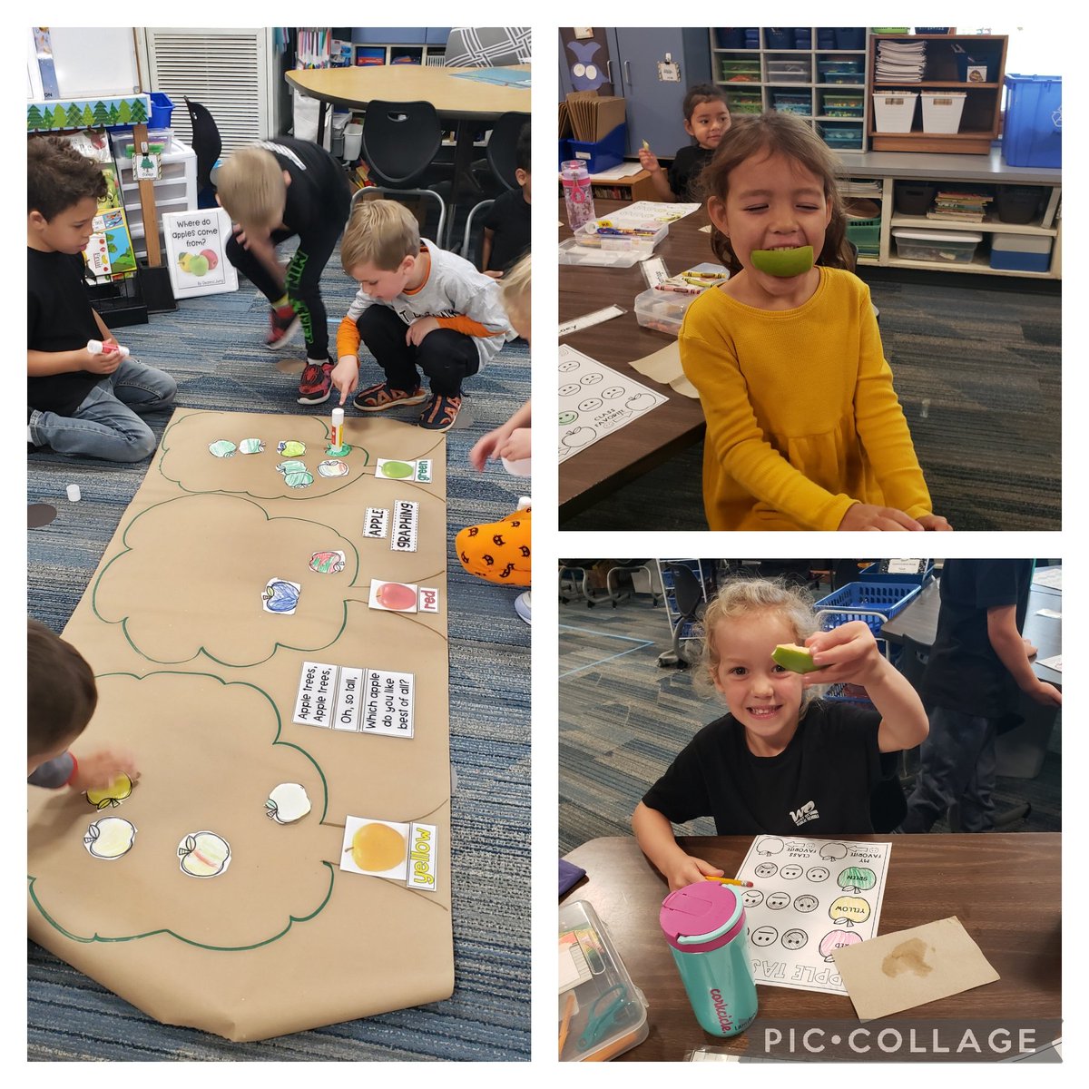Apple tasting fun today 🍎