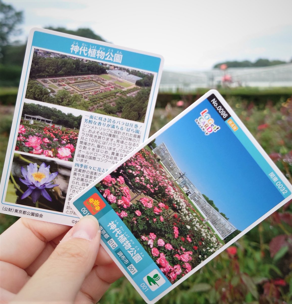 神代植物公園 ニュース Parksjindai Twitter