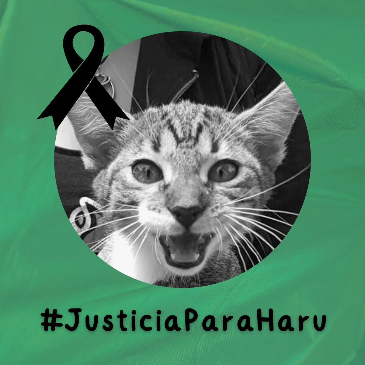 Nos unimos a la protesta por la tortura y asesinato de Haru para callar a estudiantes en <a href="/CCHVallejo_Ofi/">CCH Vallejo Oficial</a> y ante la negativa de la institución para dar seguimiento a este acto de violencia.
#JusticiaParaHaru castigo para los responsables y destitución a quienes les encubren.