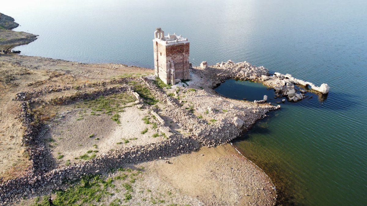 Tad3Lab's tweet image. 